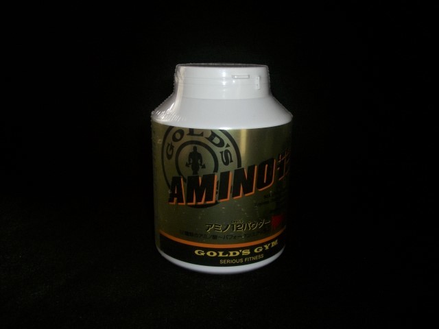 新品正規品　GOLD'S GYM（ゴールドジム） アミノ12パウダー　500g