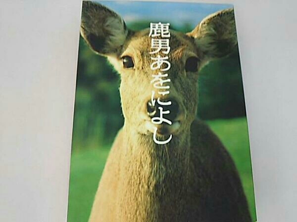 鹿男あをによし DVD-BOX ディレクターズ・カット完全版 【公式通販】