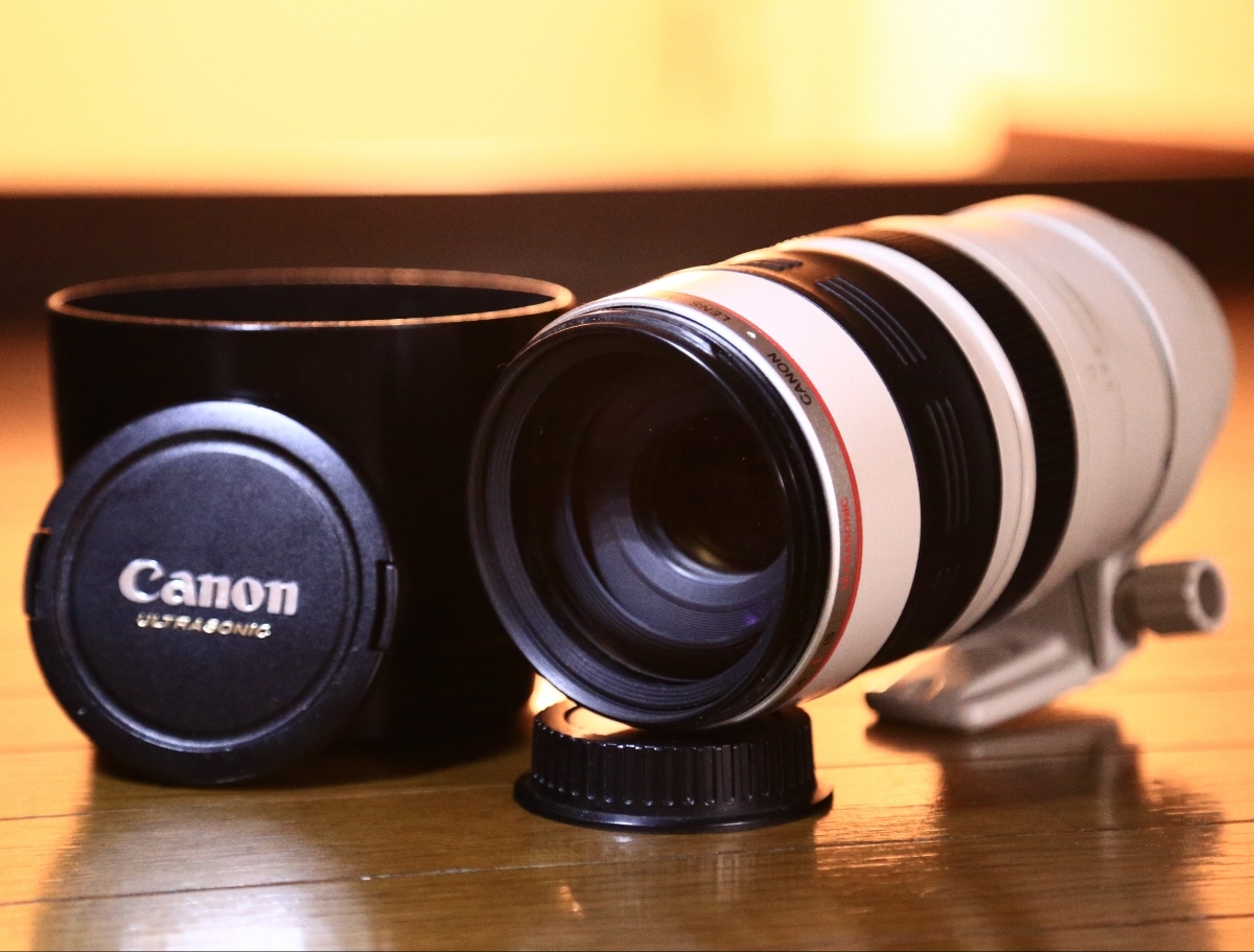 Canon EF100-400mm 1:4.5-5.6 L IS | HANABI.COMMUNITY