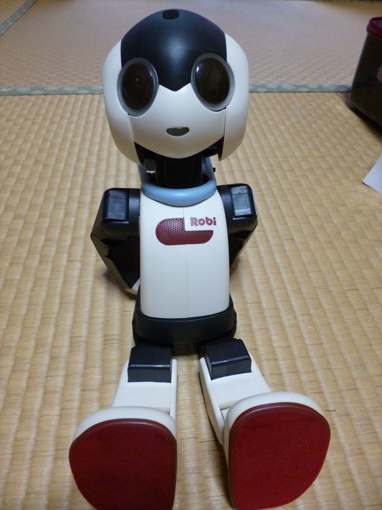 まとめ割り 【デアゴスティーニ ロビ + ロビクル 組立完成品 全作動