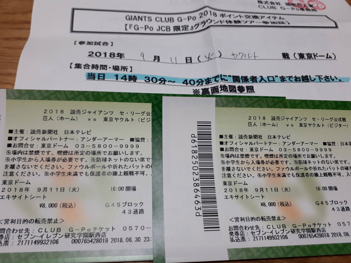 エキサイトシート 巨人 3⁄3（土）東京ドーム 巨人VSヤクルト 稀少席□4