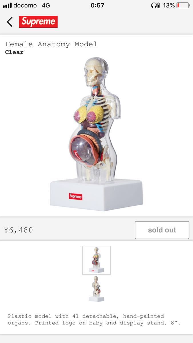 Anatomy Model Supreme Female - 人体模型 18AW Male supreme 女性人体