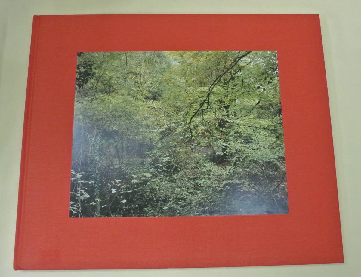 □【THE PAINTER'S POOL / JEM SOUTHAM】ジェム・ソーサム写真集