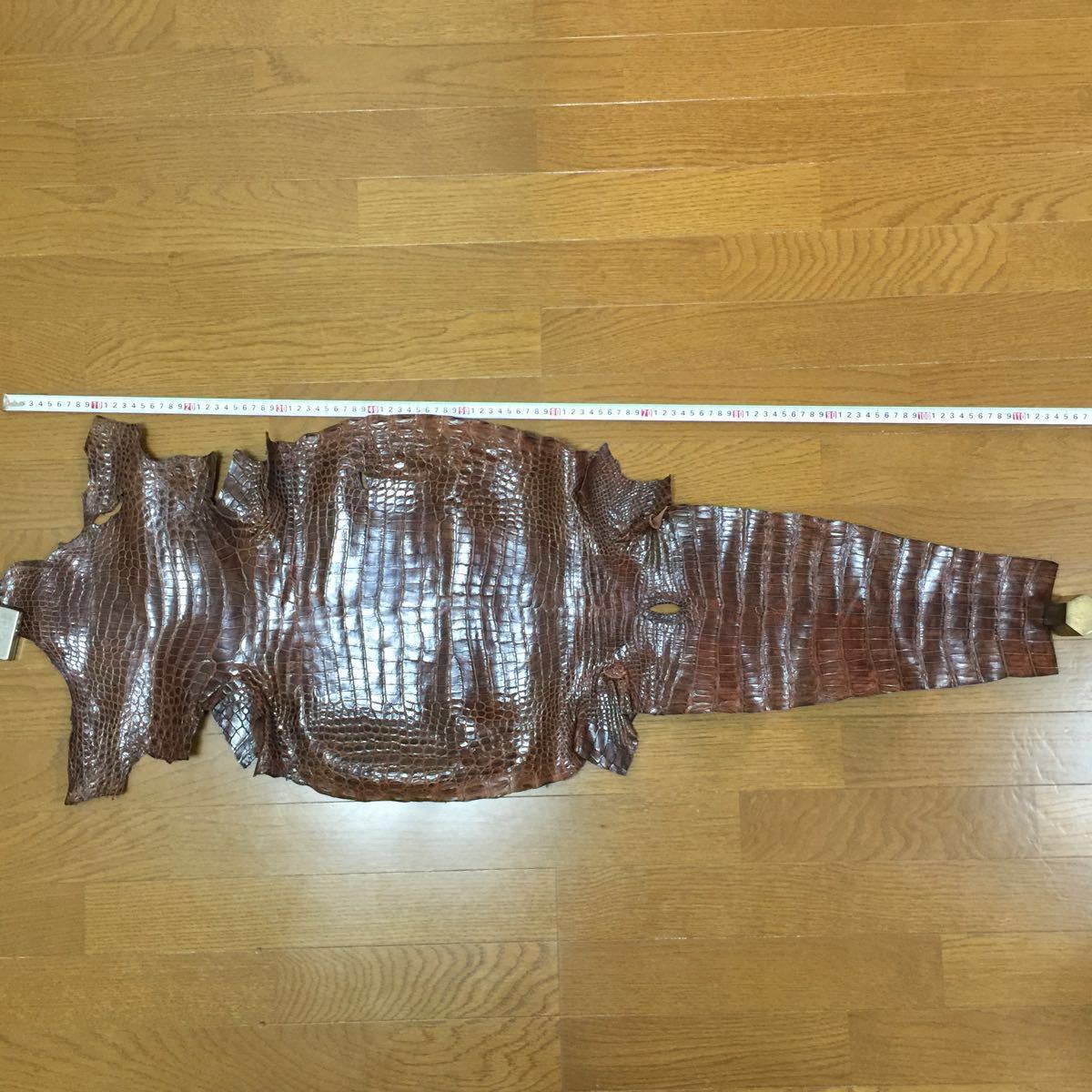 本物 クロコダイル ワニ革 鰐皮 本革 背中割一枚物 全長約 113