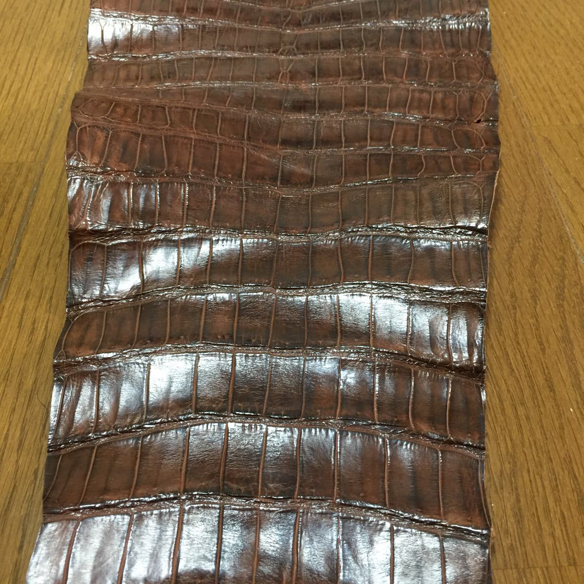 本物 クロコダイル ワニ革 鰐皮 本革 背中割一枚物 全長約 113