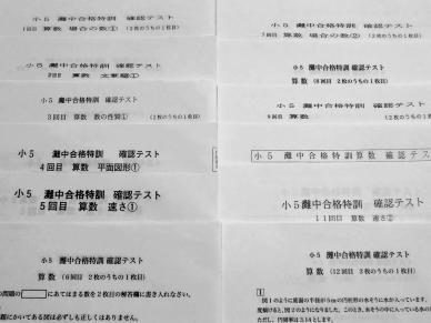 浜学園 小5 算数 灘中合格特訓 確認テスト 1回目～12回目 1年間分 美品