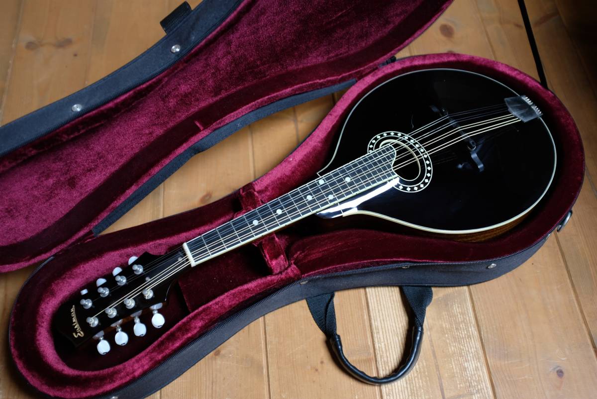 ◇EASTMAN / イーストマン・フラットマンドリン MD-404 ハードケース