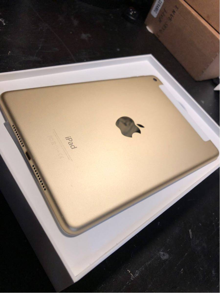iPad mini 0 64GB Apple Wi-Fi+Cellular docomo mini4 Cellular WiFi +