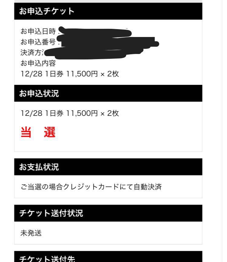 12/28(金) カウントダウンジャパン 18/19 チケット 1日券 1-2枚_1