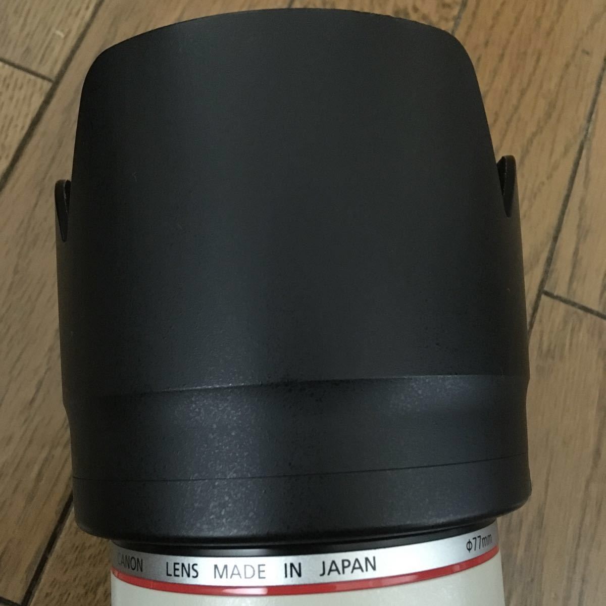 Canon ZOOM LENS EF 70-200mm 1:2.8 L IS Ⅱ USM f2.8L 2型 動作も写り