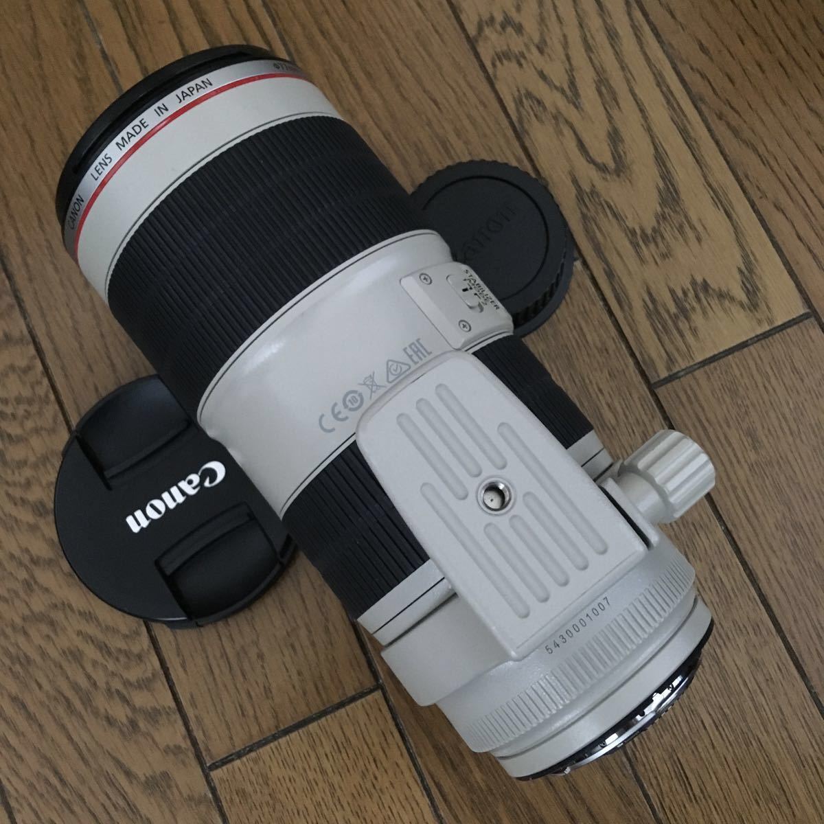 Canon ZOOM LENS EF 70-200mm 1:2.8 L IS Ⅱ USM f2.8L 2型 動作も写り