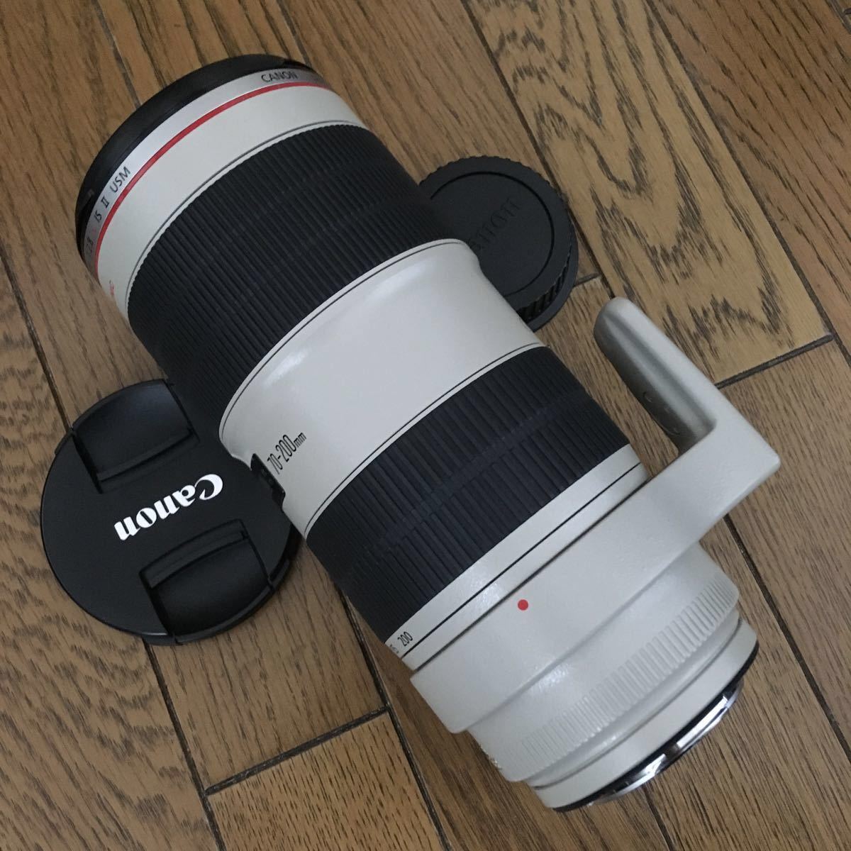 Canon ZOOM LENS EF 70-200mm 1:2.8 L IS Ⅱ USM f2.8L 2型 動作も写り