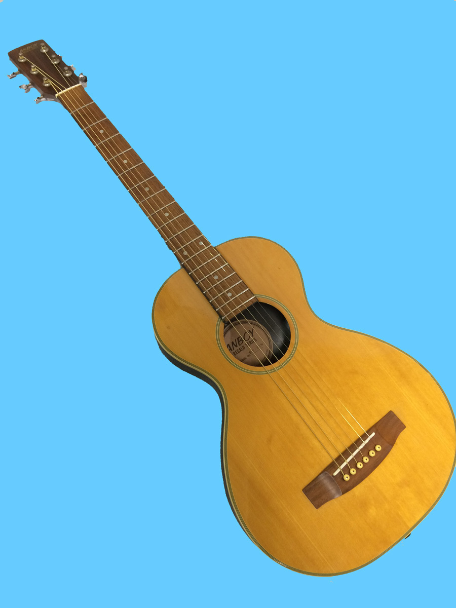 Regalo Anboy Series Acoustic REA-35E ELectric Guitar TK REGALO