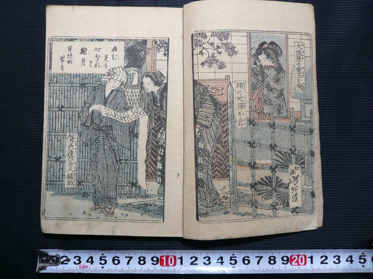 まろさん、専用出品です。 梅柳春雨譚 前編上・下 後篇上・下◇4冊(合本1冊)◇明治14年◇3 検