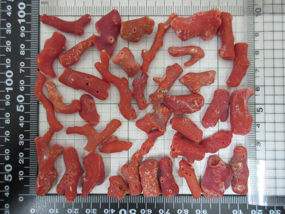 赤珊瑚枝ペンダントトップ,原木の置物 TOP】血赤珊瑚 サンゴ 枝 81g ルース ペンダントトップ ブローチ