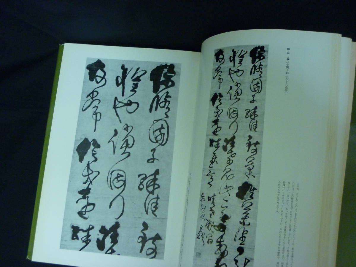 王鐸の書法 全5冊 巻子篇1・巻子篇2・冊篇・條幅篇・琅華館帖 二玄社