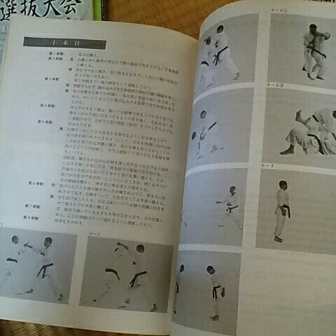 空手道 和道会 ????パンフレットのようです、、、???? よく分かりませ