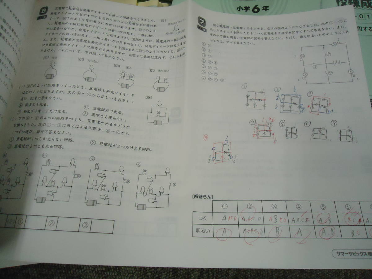 サピックス 社会 SAPIX 国語 | 算数 GS特訓 小6 入荷中 サンデー 