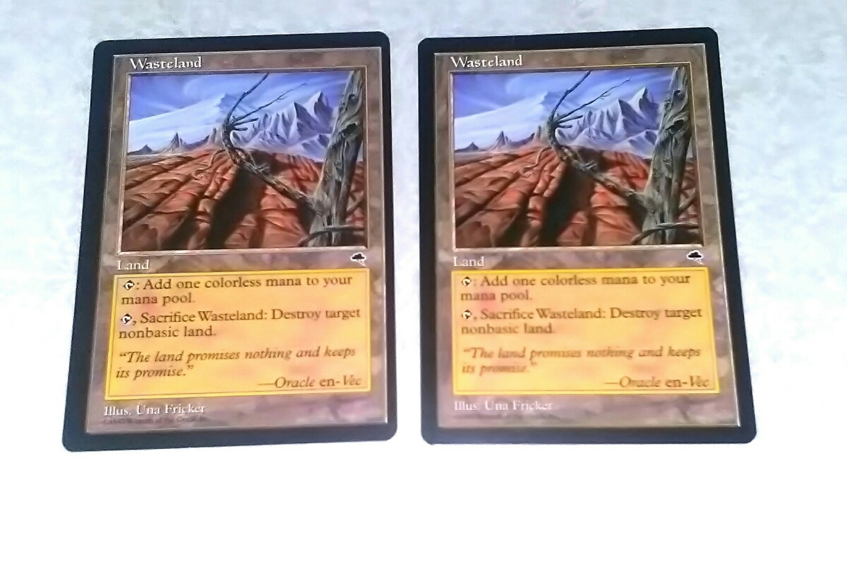 MTG 不毛の大地 TMP 英2枚セット 【公式通販】
