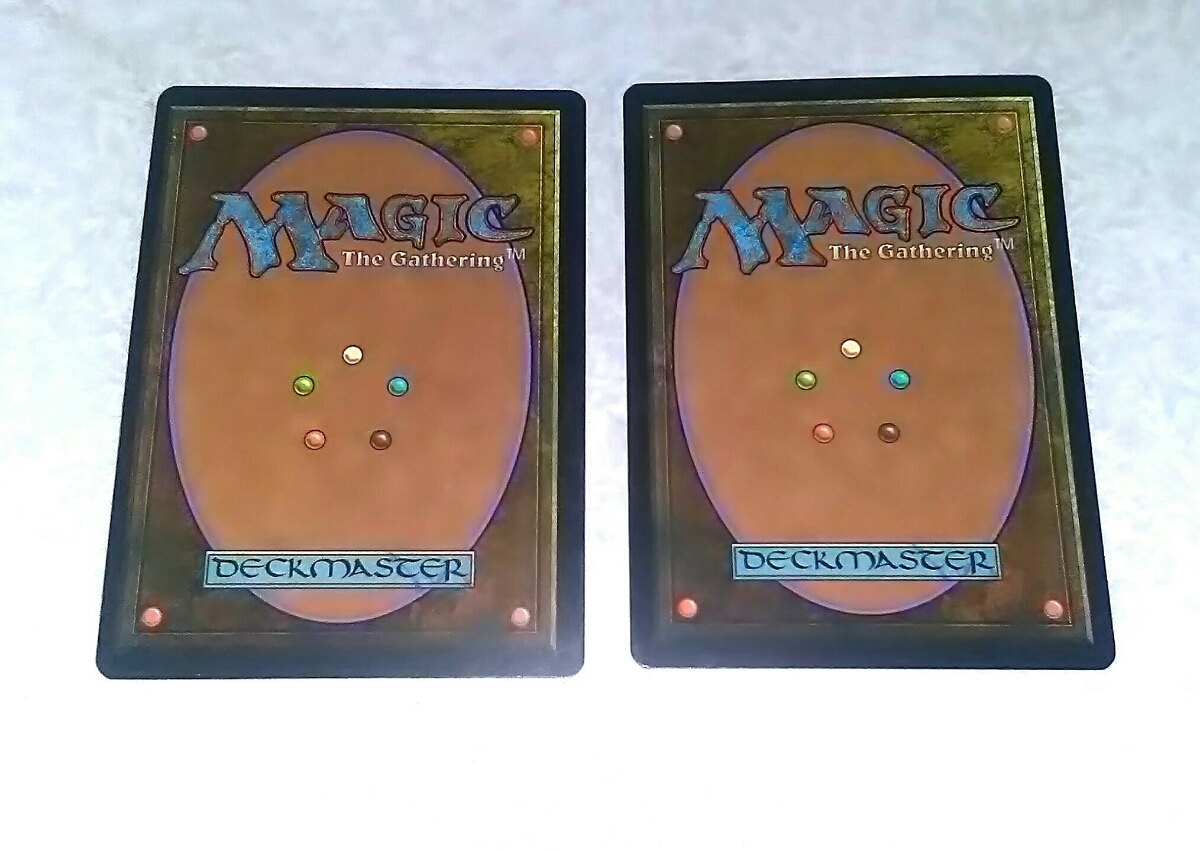 MTG 不毛の大地 TMP 英2枚セット 【公式通販】
