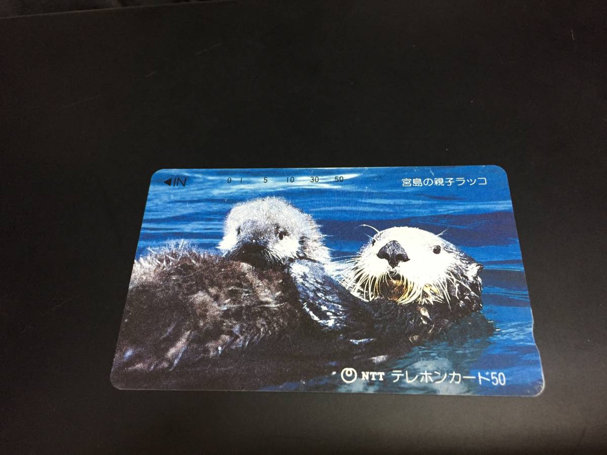 テレホンカード 50度 宮島のラッコ 動物 売買されたオークション情報 Yahooの商品情報をアーカイブ公開 オークファン Aucfan Com