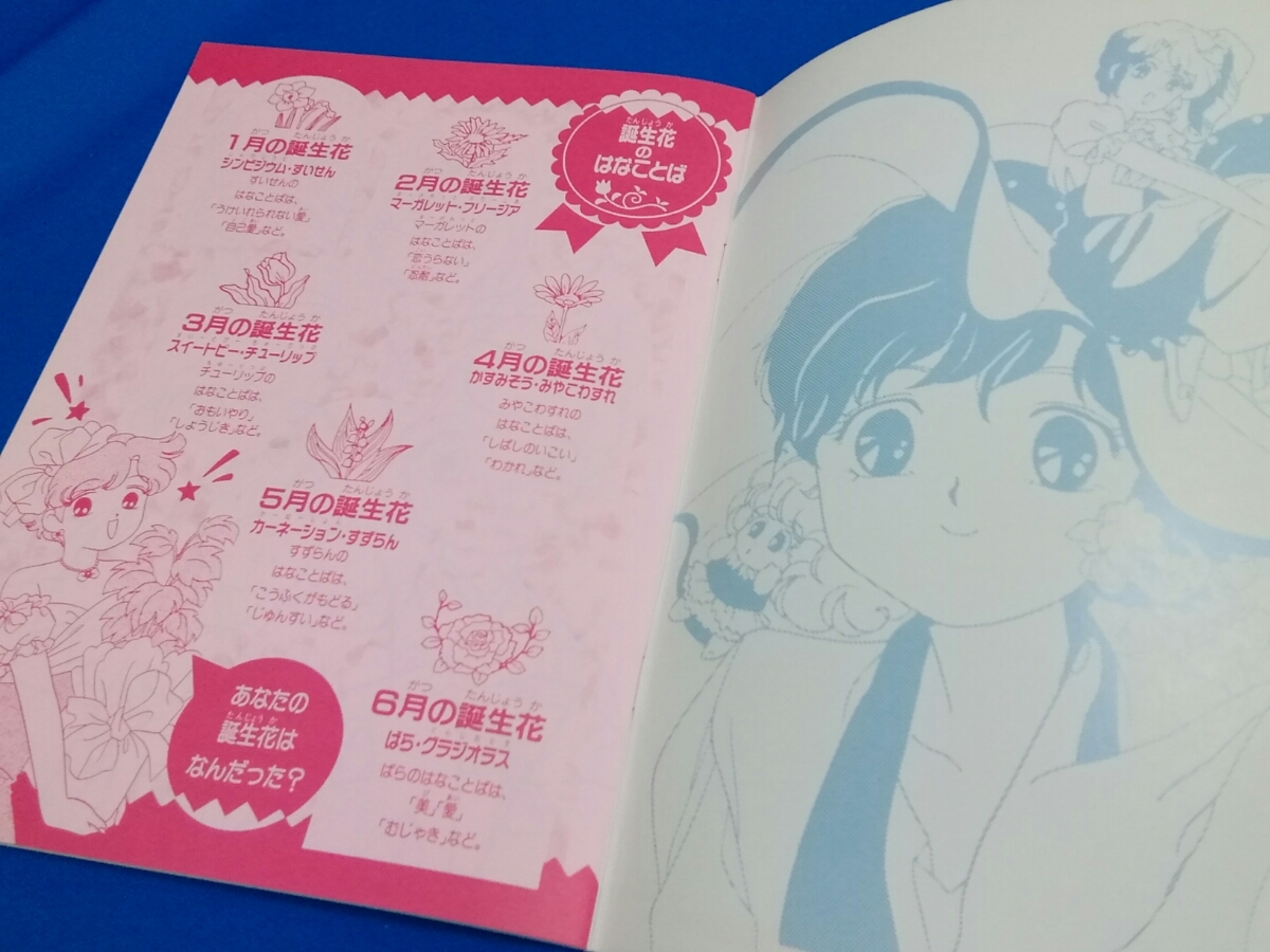 星のデュエット ファニーツイン きせかえ 3冊セット セイカのぬりえ 星のデュエット ファニーツイン かわいい花ことば