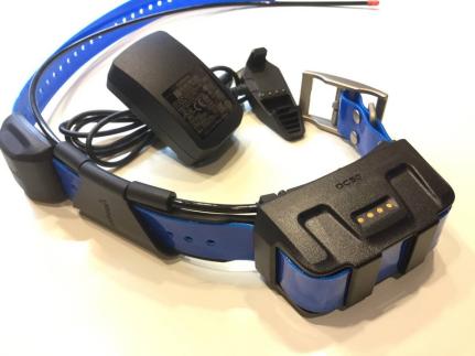 GARMIN DC50充電器付きGPS首輪【新品】 （検索用 ガーミン アストロ