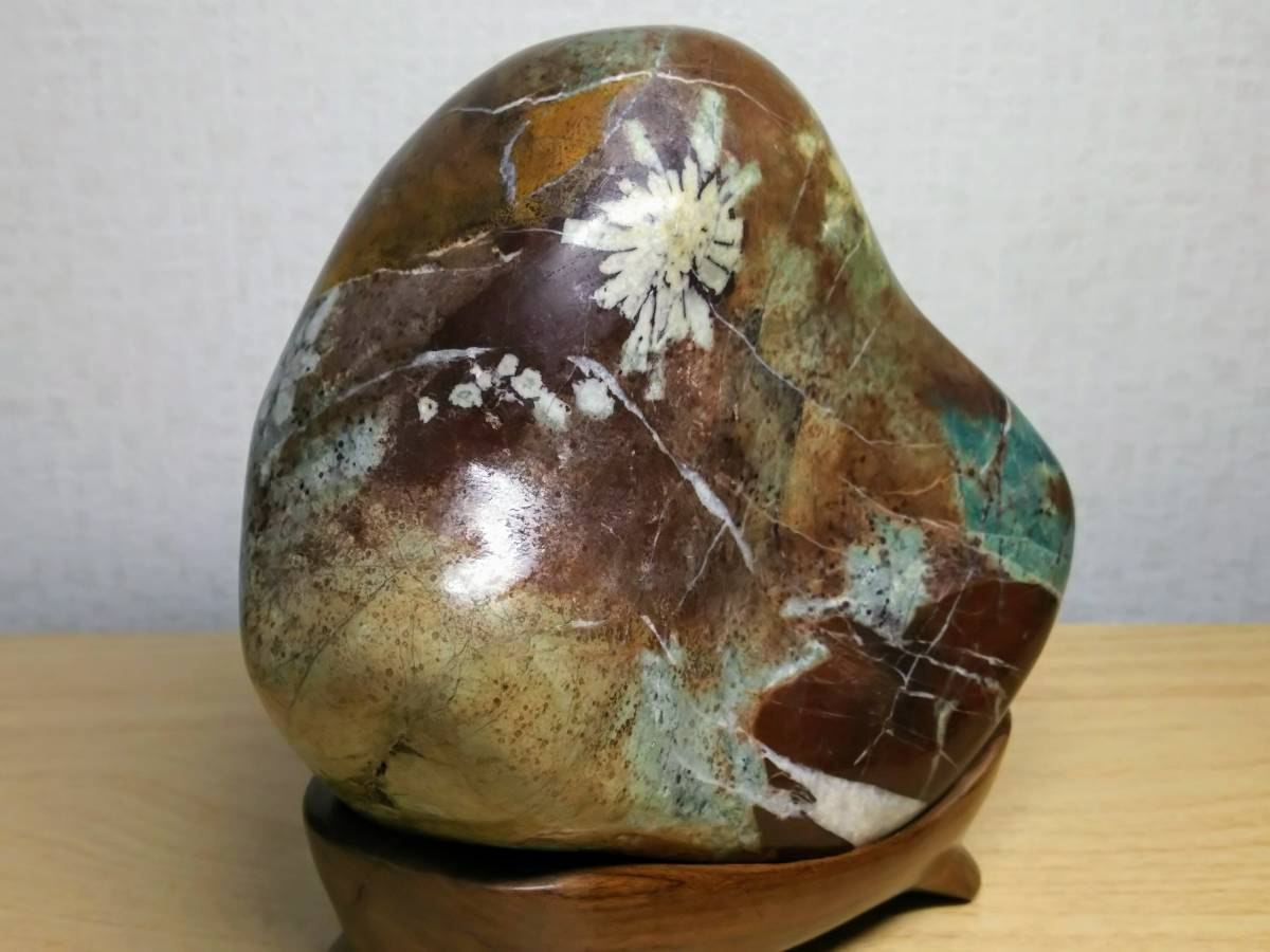 純白菊1輪】 根尾谷産 菊花石 梅花石 鑑賞石 水石 原石 盆石