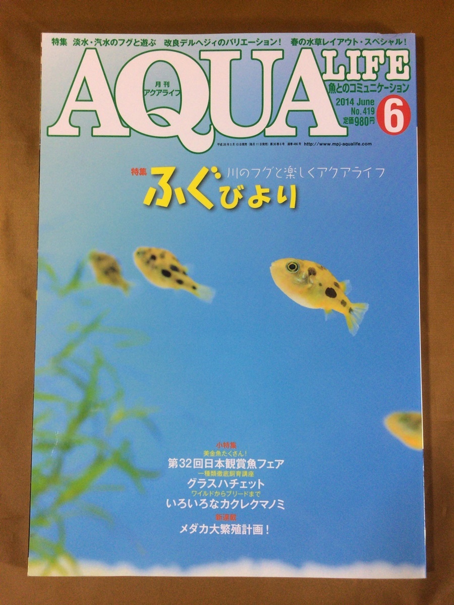 アクアライフ 14年 特集 ふぐの飼い方 繁殖レポート アベニーパファー ミドリフグ いろいろなカクレクマノミ グラスハチェット飼育 観賞魚 売買されたオークション情報 Yahooの商品情報をアーカイブ公開 オークファン Aucfan Com