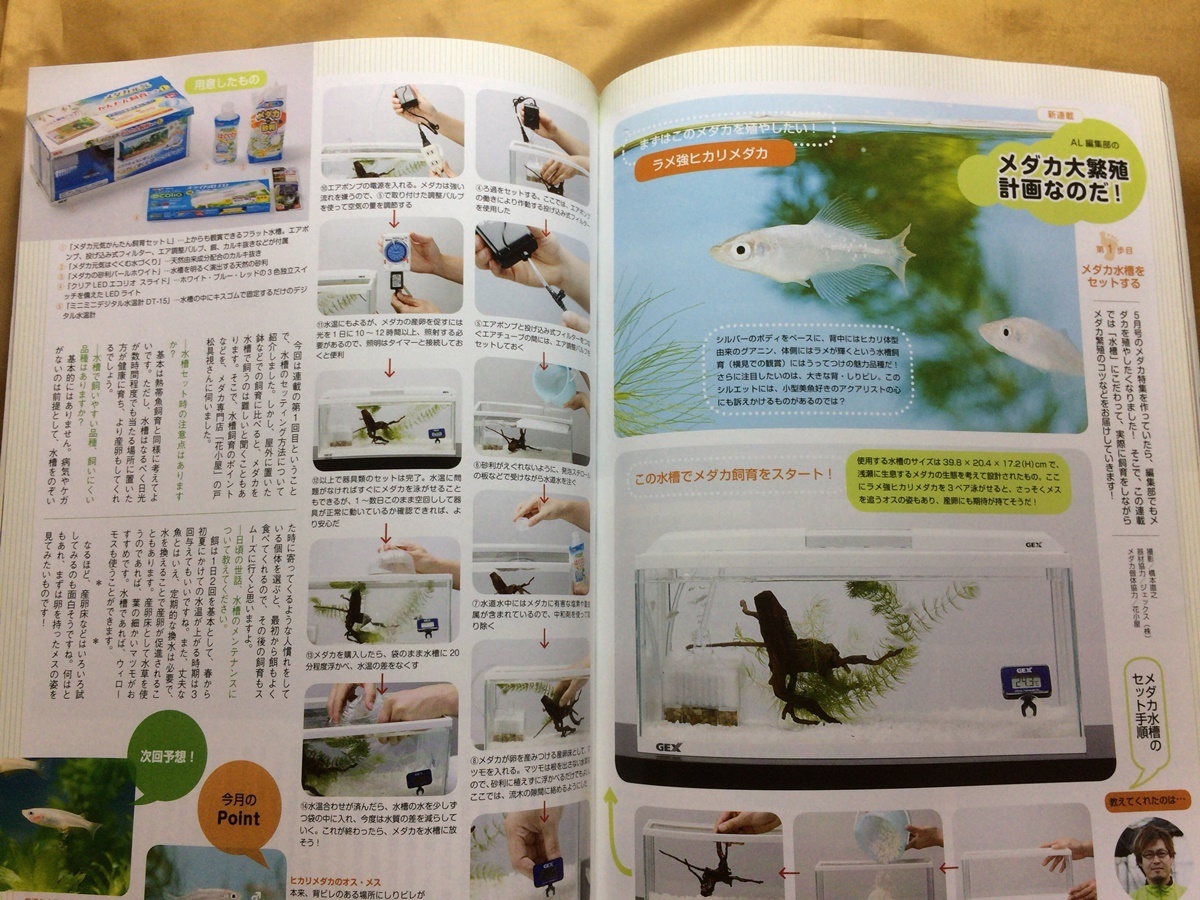 アクアライフ 14年 特集 ふぐの飼い方 繁殖レポート アベニーパファー ミドリフグ いろいろなカクレクマノミ グラスハチェット飼育 観賞魚 売買されたオークション情報 Yahooの商品情報をアーカイブ公開 オークファン Aucfan Com