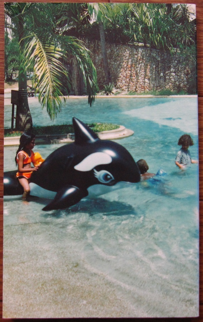 写真集 nj⁄ホンマタカシ Put Me in the Water Homma Takashi ⁄3 [カドカワ