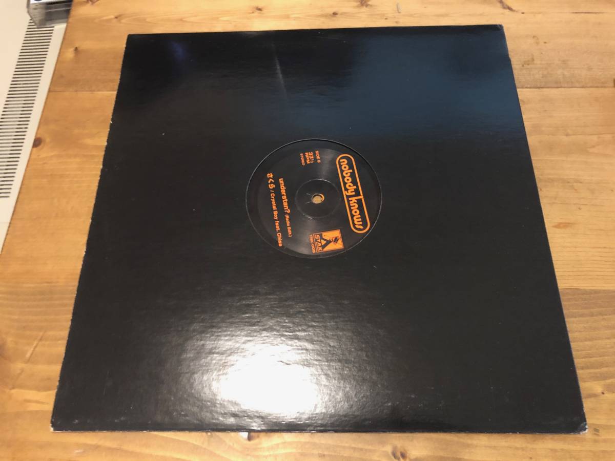 12 Nobody Knows Theme From Nobody Knows 正義と微笑 Understan さくら インディーズ 売買されたオークション情報 Yahooの商品情報をアーカイブ公開 オークファン Aucfan Com