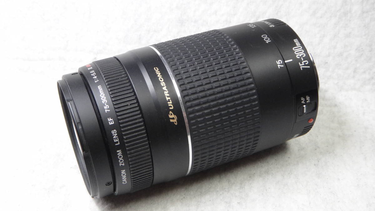 III F4-5.6 | EF75-300mm 75-300mm USM f⁄4-5.6 USMで撮影