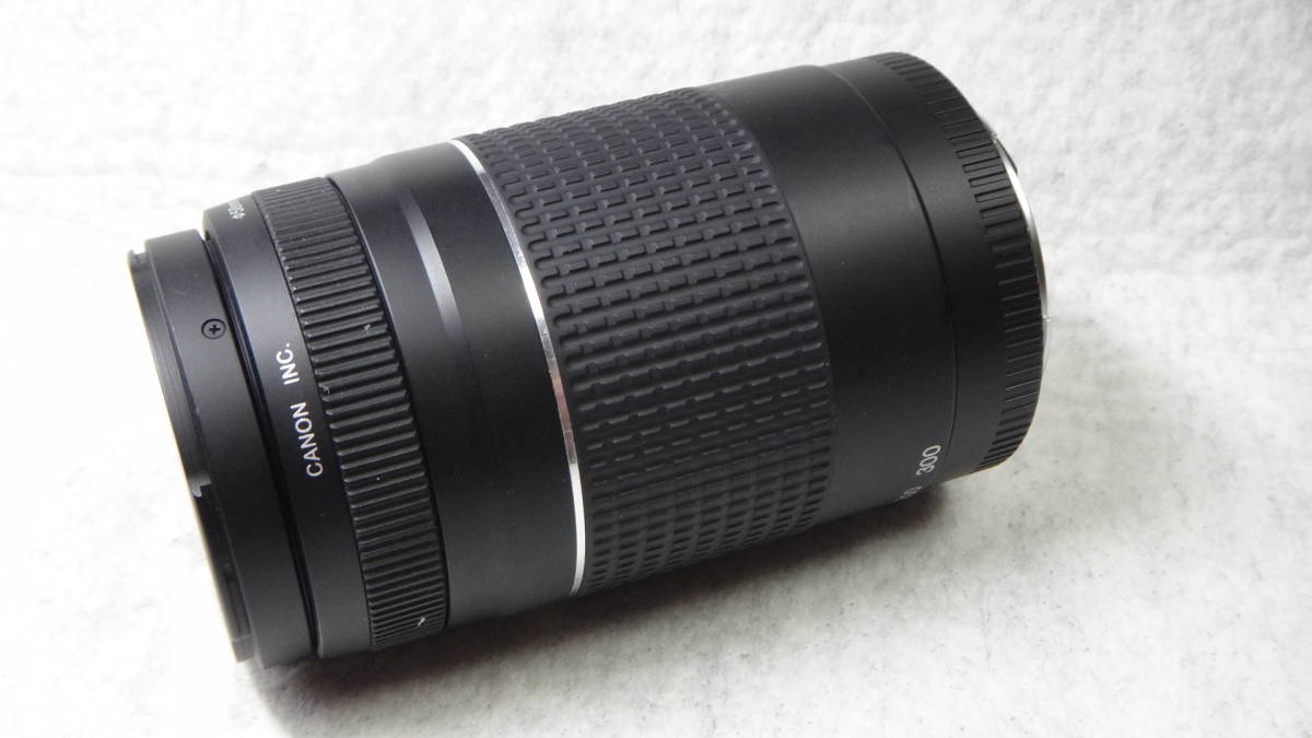 III F4-5.6 | EF75-300mm 75-300mm USM f⁄4-5.6 USMで撮影