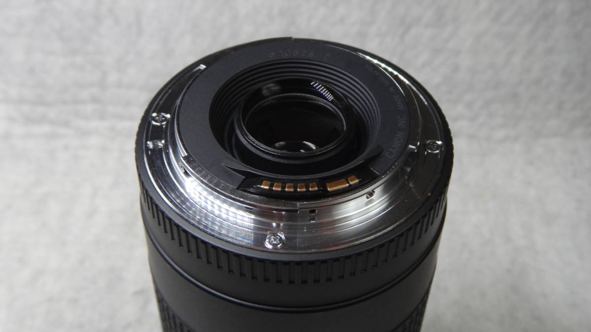 III F4-5.6 | EF75-300mm 75-300mm USM f⁄4-5.6 USMで撮影