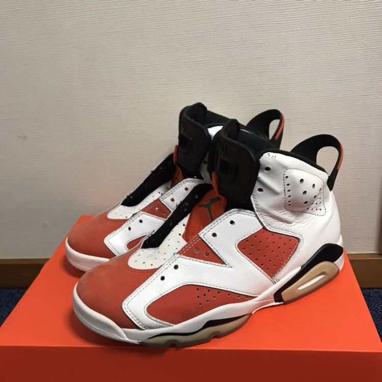 NIKE AIR JORDAN ゲータレード