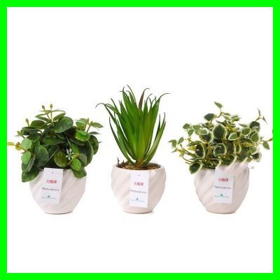 ☆おすすめ☆ 光触媒 人工観葉植物 造花 3個セット ユーカリ2種 多肉植物 Ph-03-BC
