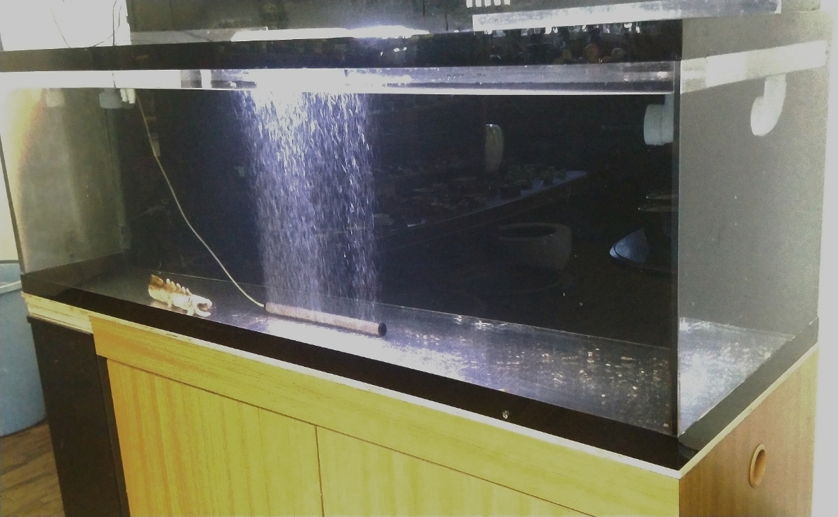 アクリル水槽 1800-600-500 オーバーフロー水槽 大型水槽 引き取り アクリル水槽 引き取り限定 0 オーバーフロー 引き取り限定⇒大型