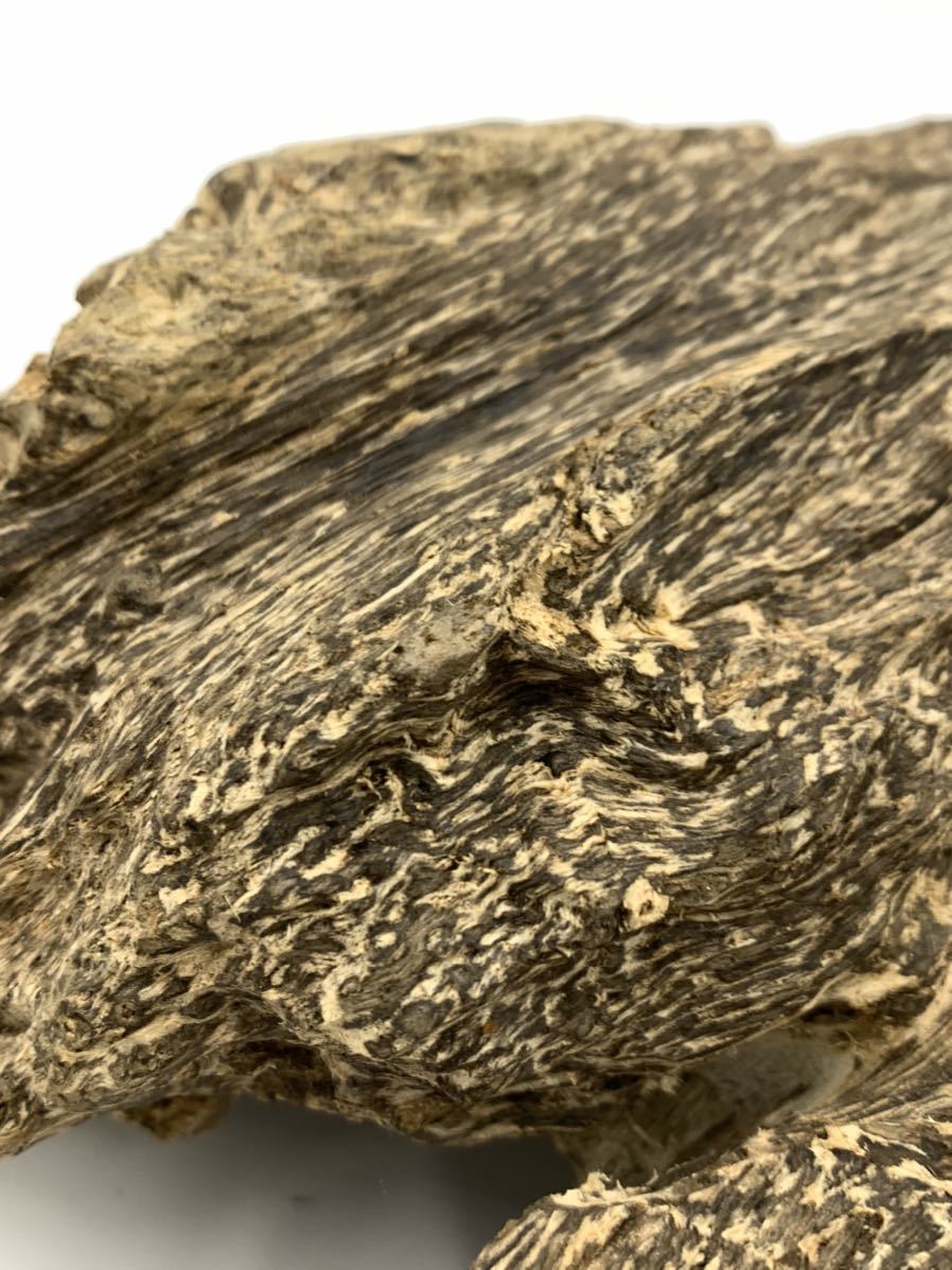 全国無料，SALE ベトナム産 沈香 256.3g / 伽羅 香木 沈香 シャム 白檀
