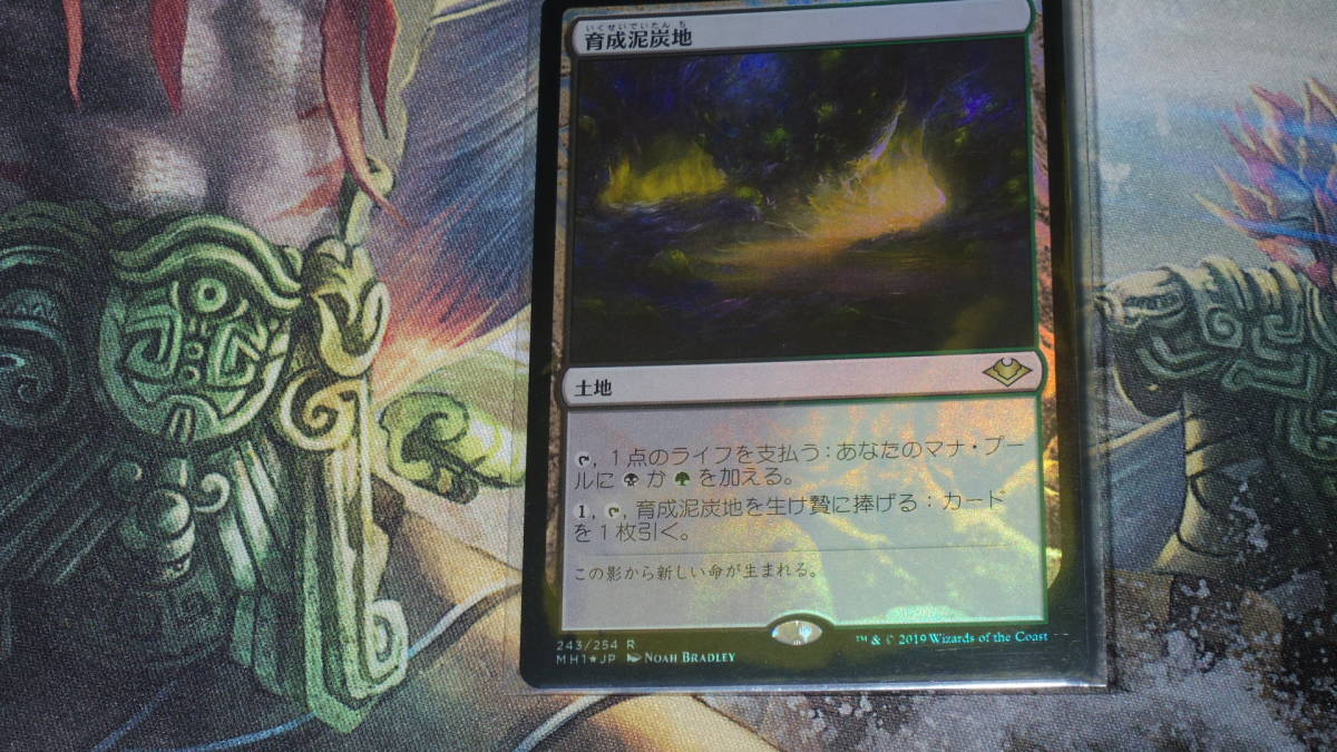 人気SALE，得価】 送料込 Foil 育成泥炭地 モダンホライゾン 日本語