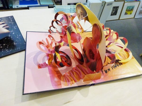 Visionaire Surprise 0 | Books · Art ヴィジョネア55 Downtown Brown