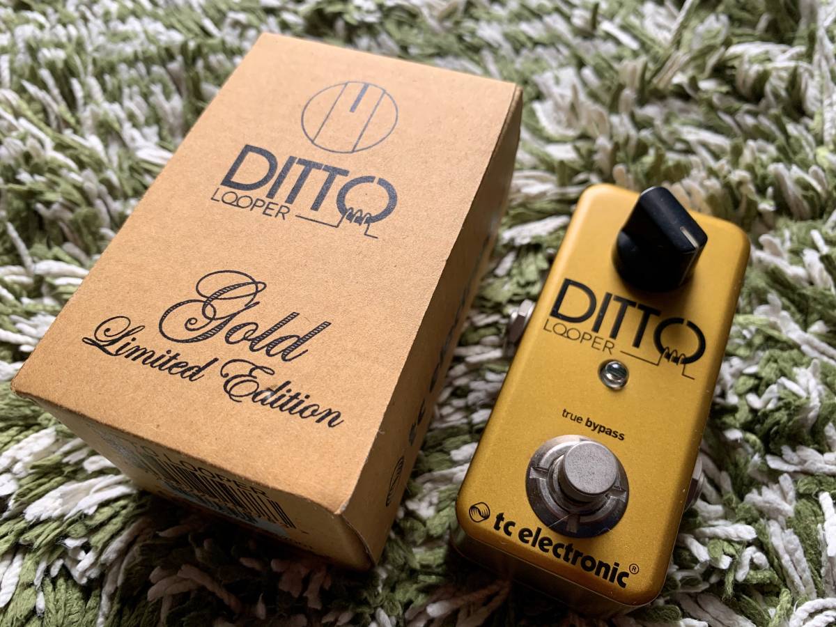 tc electronic DITTO looper 5000台限定 ゴールド tc electronic DITTO