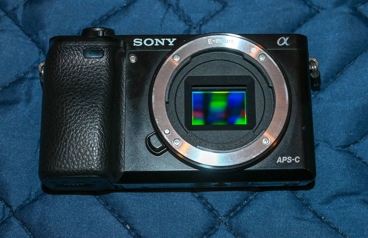 α6000 | SONY ソニー ミラーレス一眼 ブラック ボディ ミラーレス 一眼 