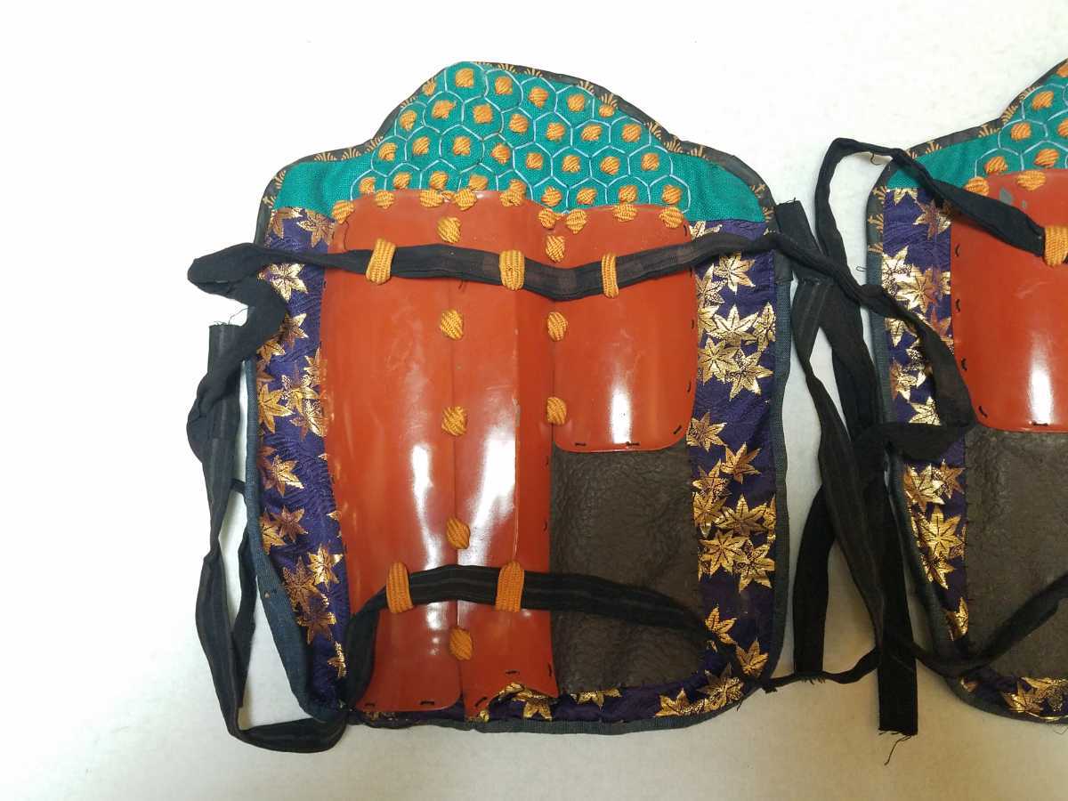 モンソニア - 0 無骨な見た目に可憐な花『モンソニア クラシカウリス Yahoo!オークション ７月末採種モンソニア クラシカウリス(旧サルコ クラシカウリス(旧サルコカウロン クラシカウレ)の種子5粒 | Sarcocaulon crassicauleサルコカウロン・クラシカウレ RIMO'S クラシカウリス1026 crassicaule-サルコカウロン