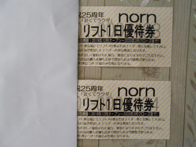ノルン水上スキー場リフト券・2枚組（大人4500円×2＝9000円