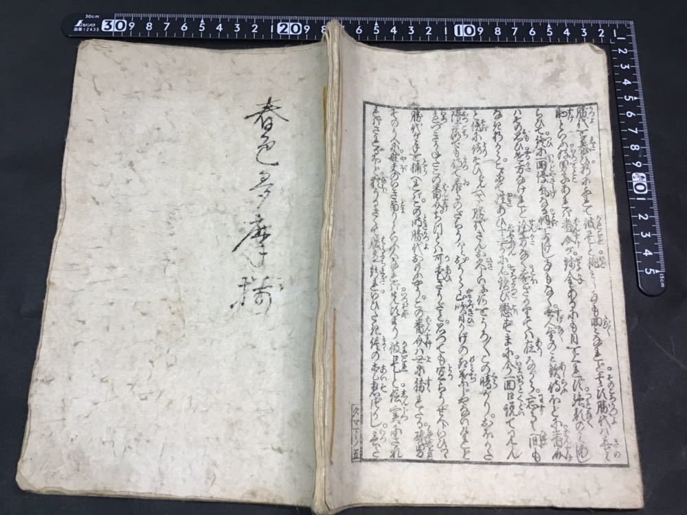 智 春画 艶本 春色多満揃 巻之下 女好庵主人戲墨 木版画 枕絵 浮世絵
