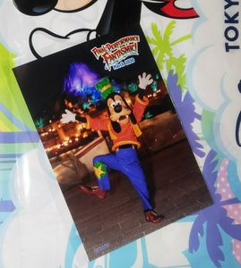 ディズニー スペシャルフォトのYahoo!オークション(旧ヤフオク!)の相場 
