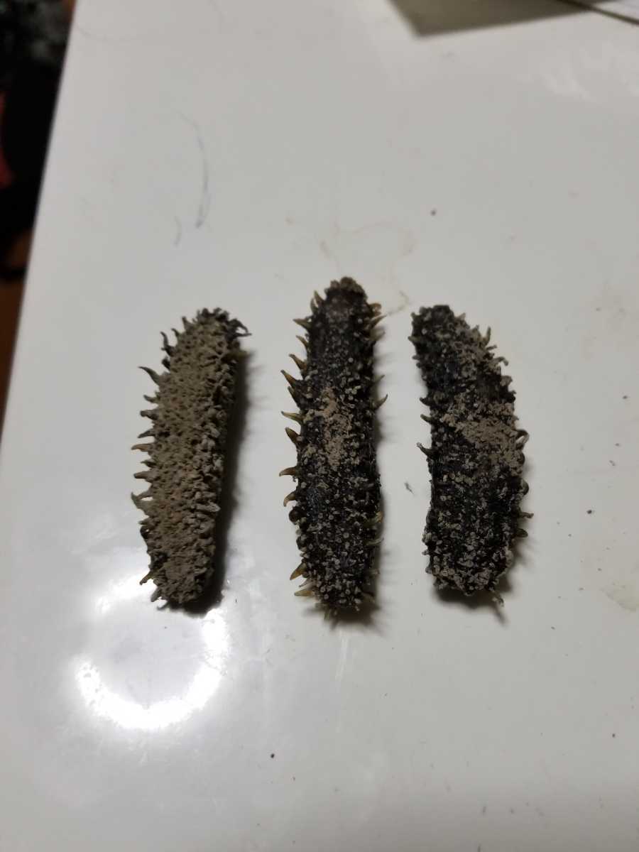 乾燥ナマコ 海鼠 乾燥なまこ 1kg 乾燥 なまこ」の人気商品一覧・価格