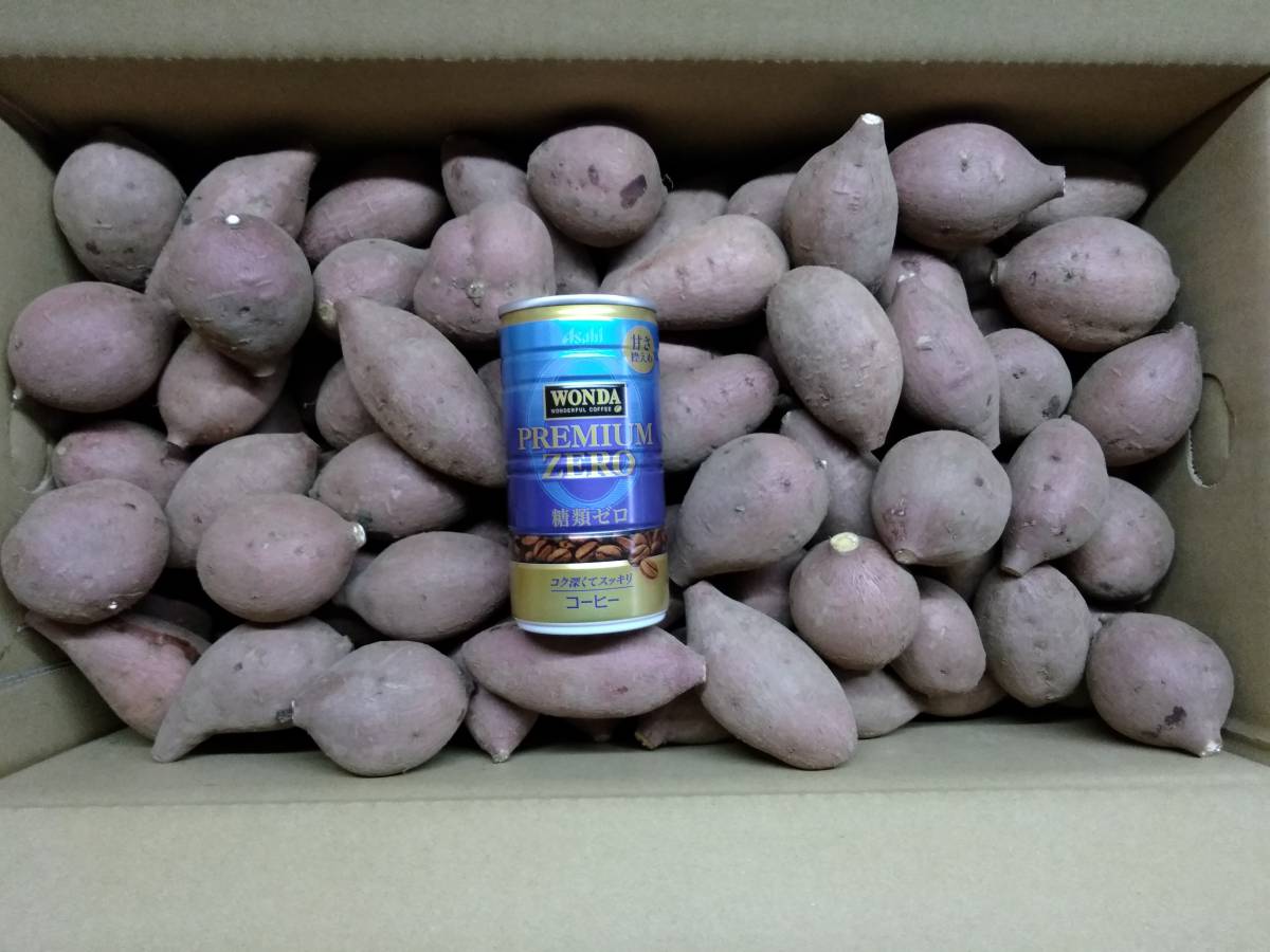 食品 種子島産 らっきょう 20