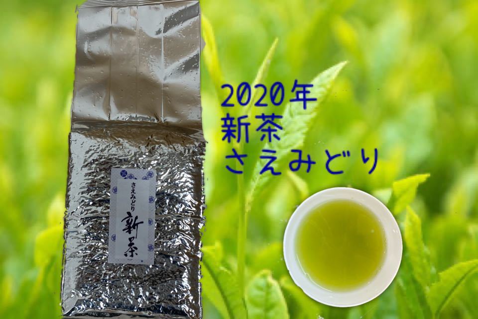 【2020年産新茶】知覧産　さえみどり　1ｋｇ　甘みとコクのある洗練された味！！ さえみどり 知覧茶 茶 鹿児島知覧茶 深蒸し煎茶 の